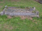 image of grave number 831166
